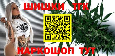 гидра Новодвинск
